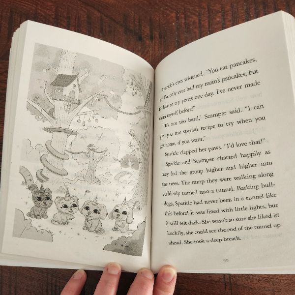 Girls chapter books, first chaper books, age 5-10