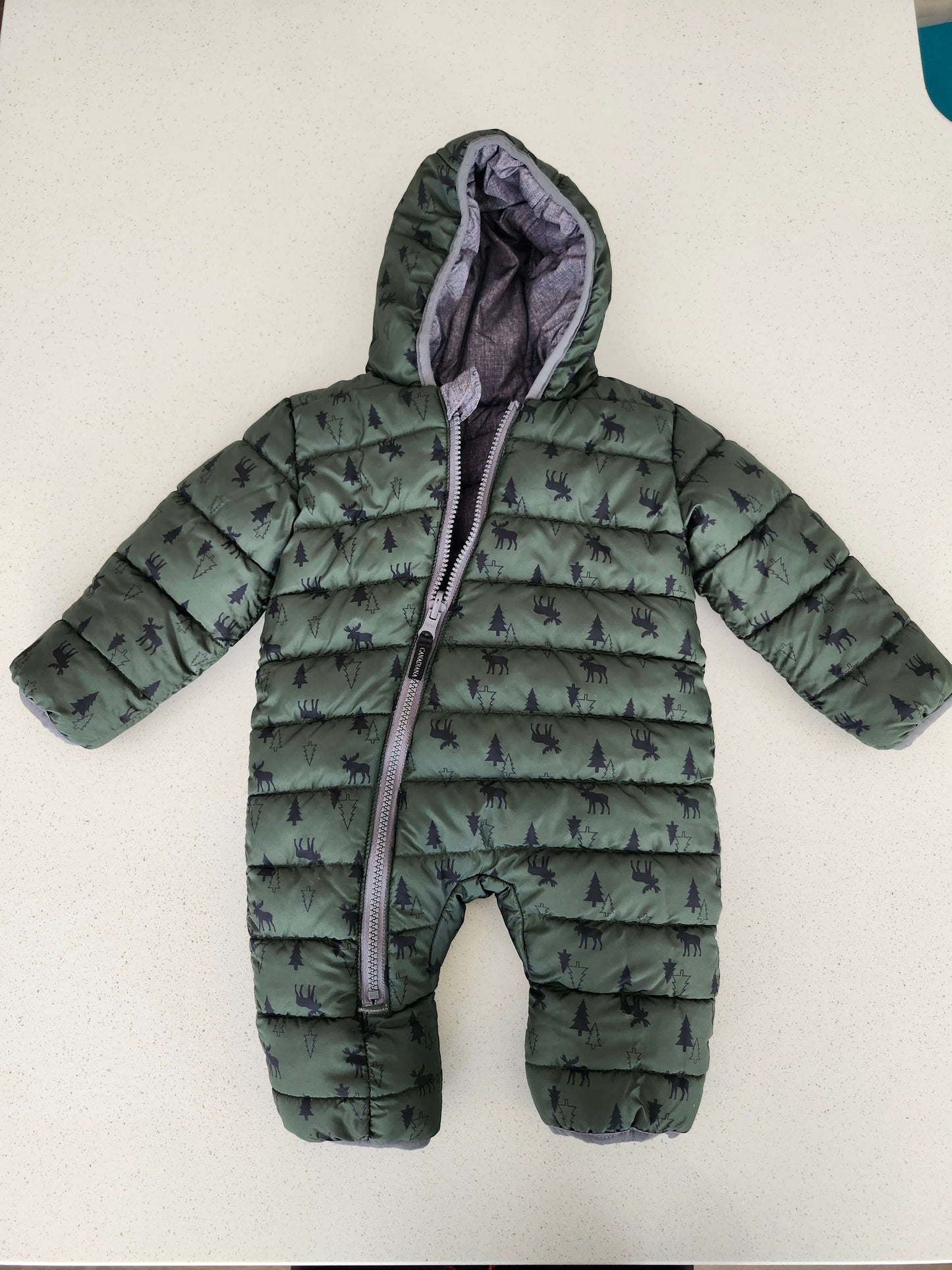 Canadiana snowsuit, grey and green reversible, NWOT, Kids 3 Month (0-3M)