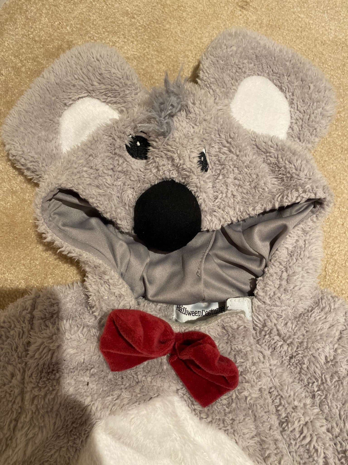 Costume: Hooded Koala Toddler Costume , Kids 2T