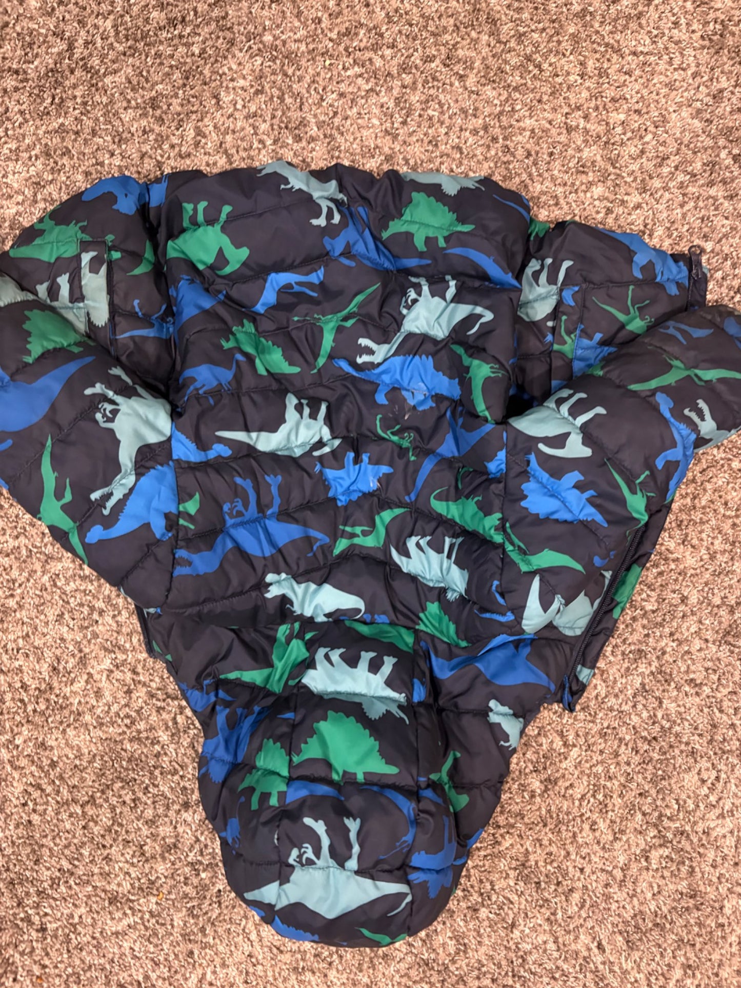 Dinosaur winter coat 2T, Kids 2T