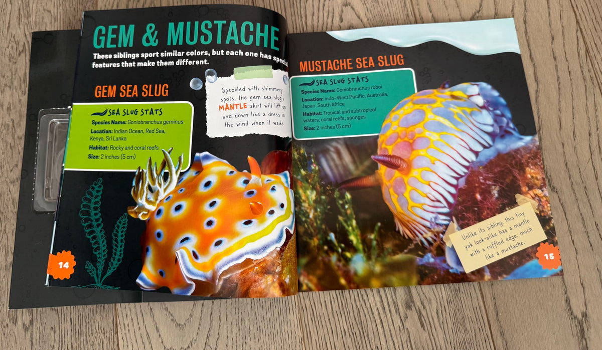 Sea Bunnies Book
