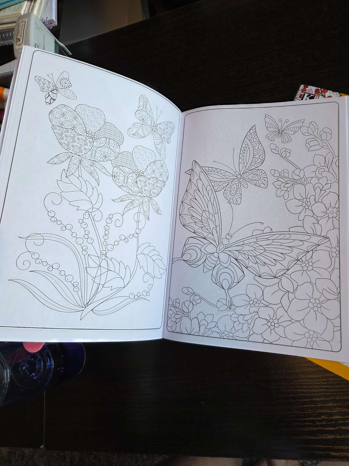 2 new butterfly geographic sticker/coloring book