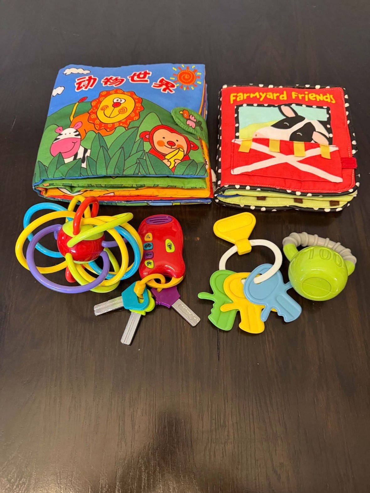 Baby Sensory Toy Bundle