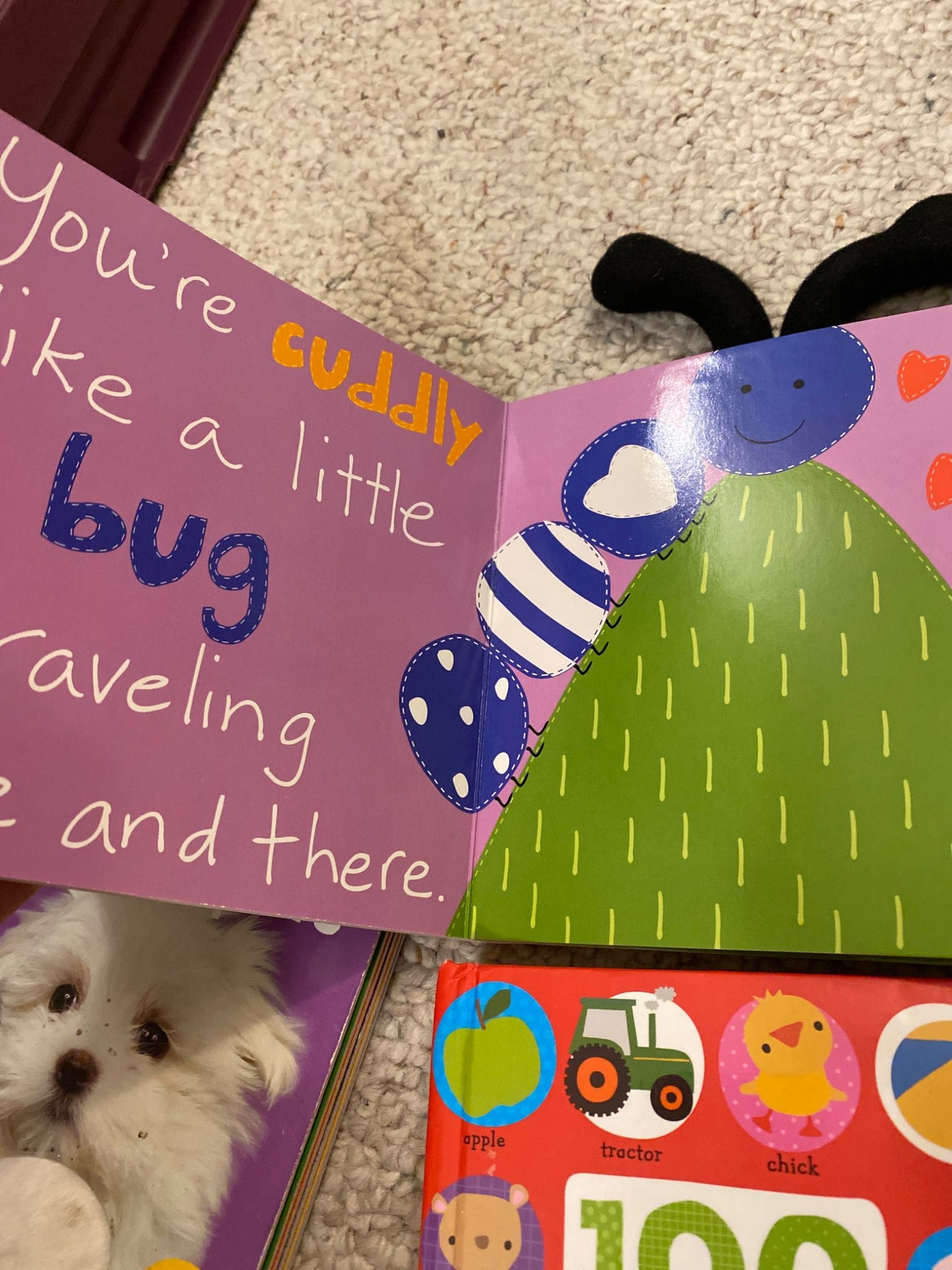 Baby Board Book Bundle