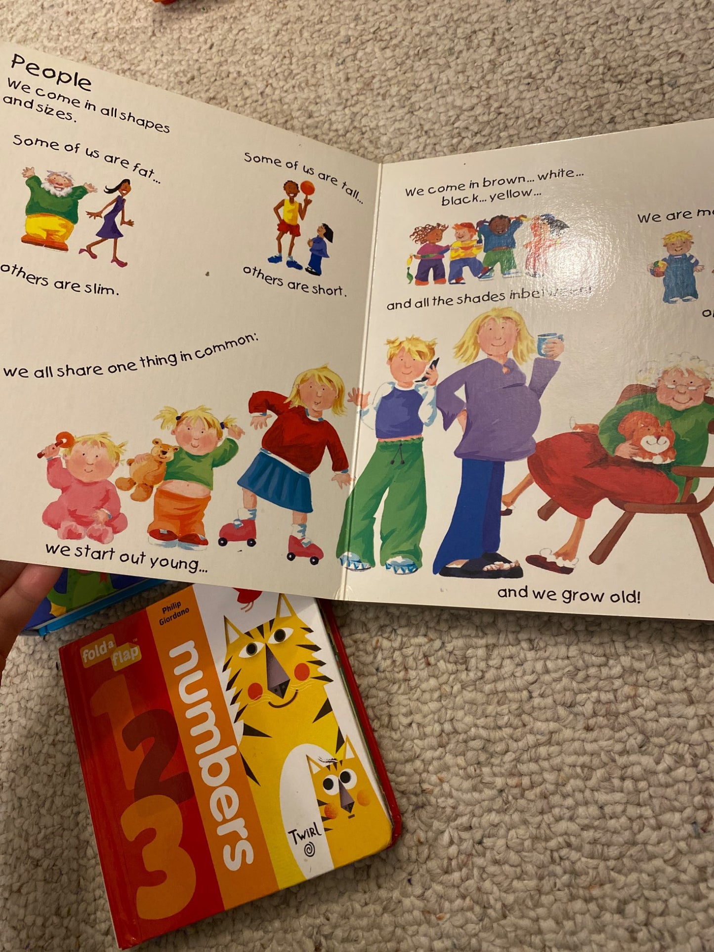 Learning Board Books