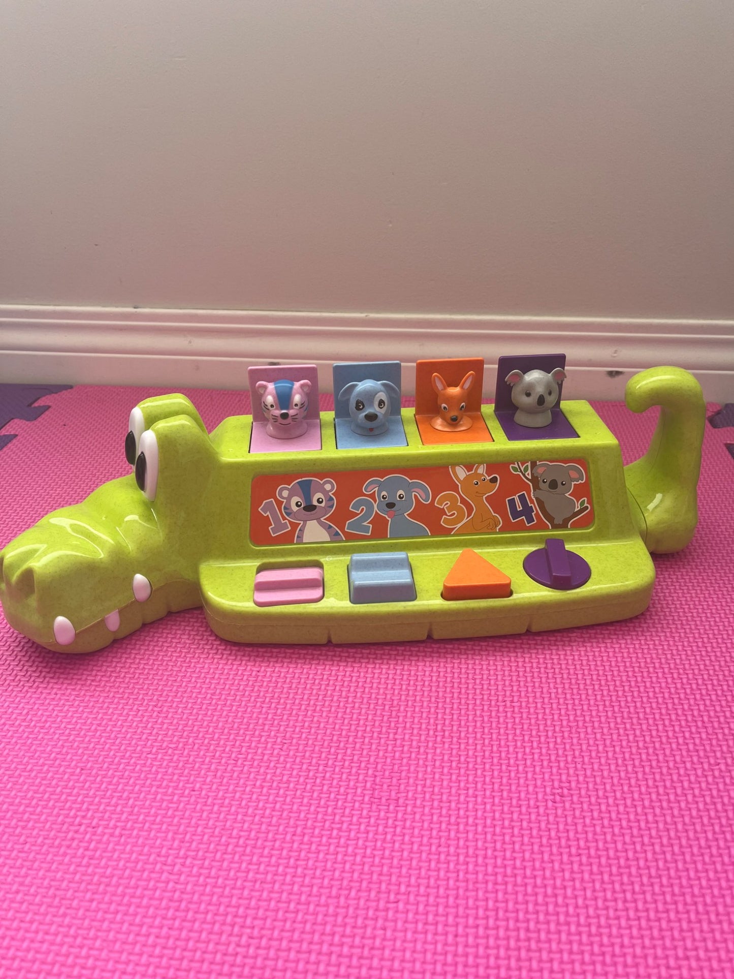 Alligator pop up toy