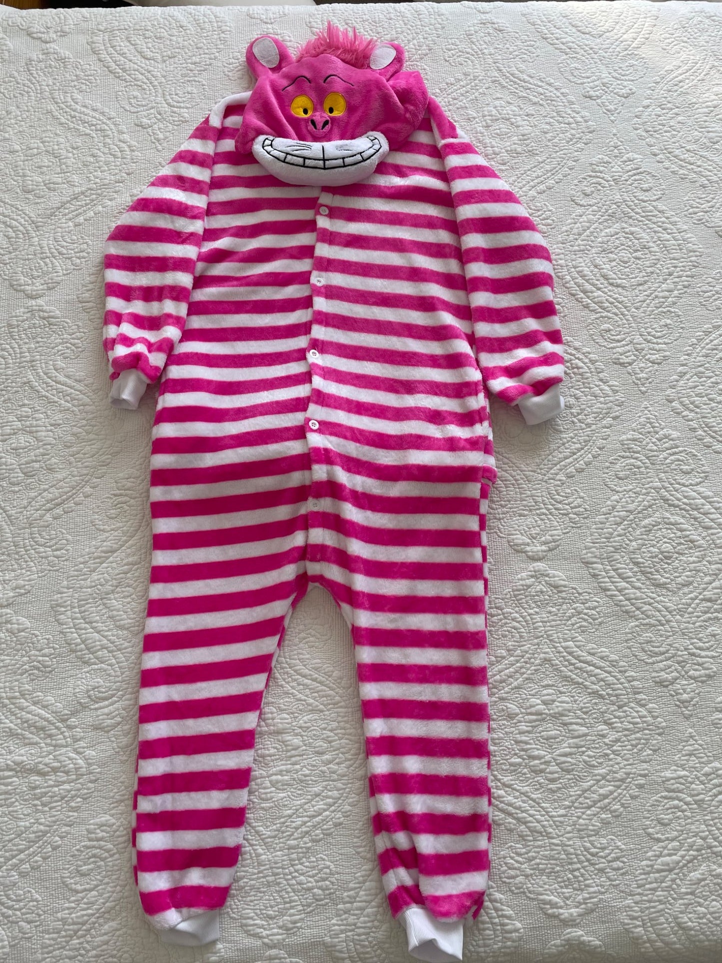 Cheshire Cat Halloween Costume, Kids 7