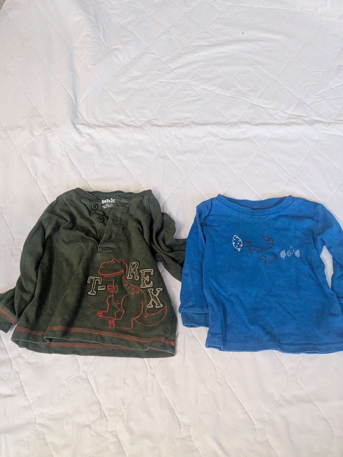 Bundle of 2 long sleeve shirts, Forest green and blue, Kids 9 Month (6-9M)
