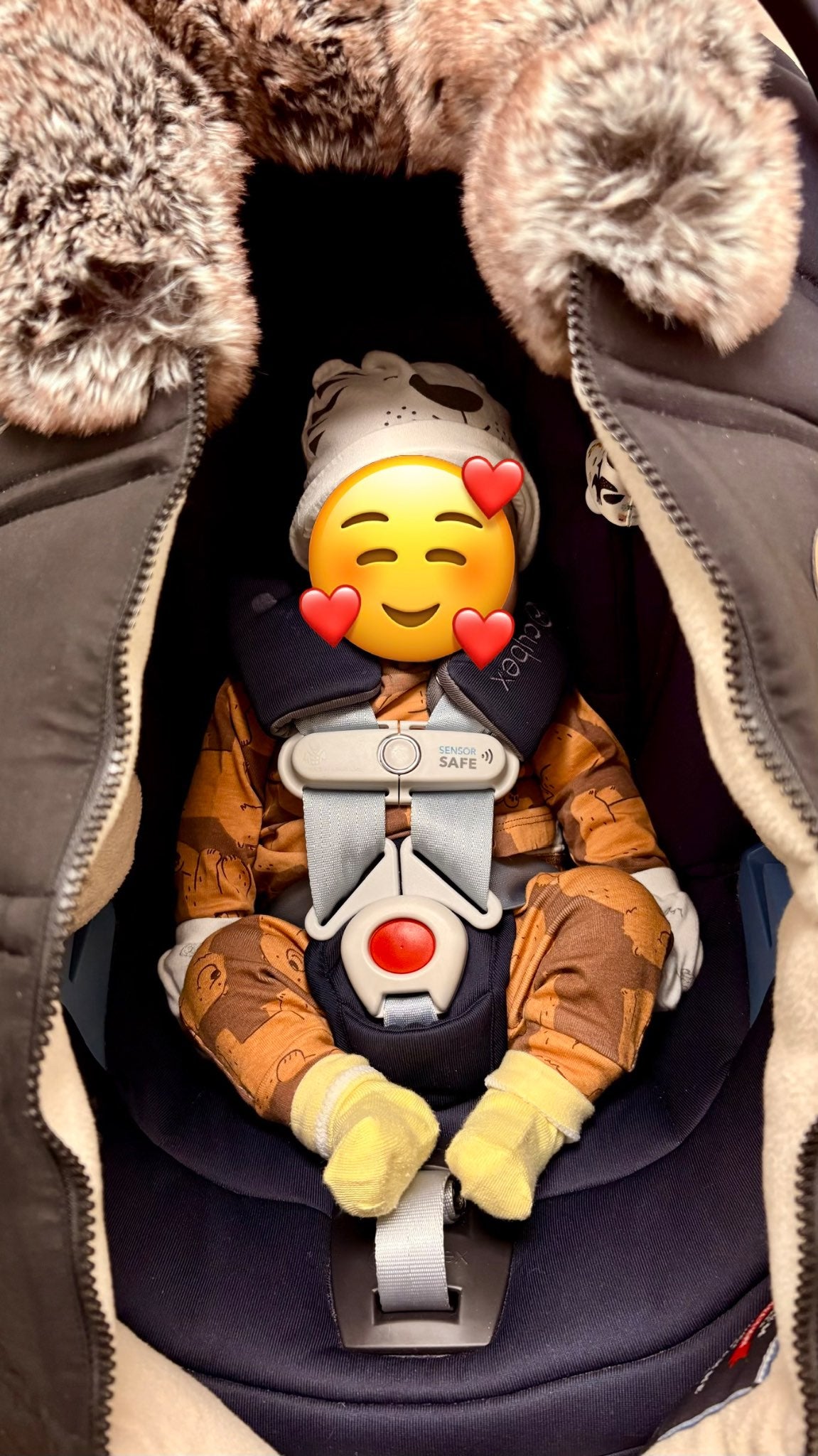 Winter Baby Car Seat Cover