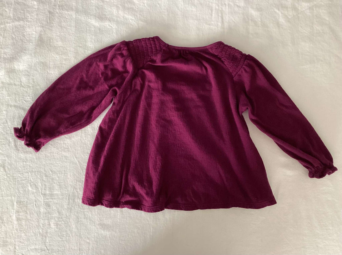 Old Navy Toddler Girl Tops (Bundle of 2) 2T, Kids 2T