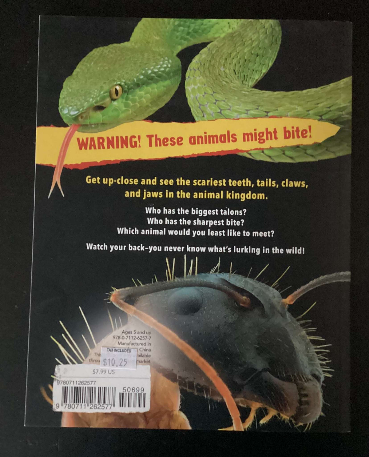 Come Closer If You Dare! Animal Predators: Up-Close by Camilla de la Bédoyère #2