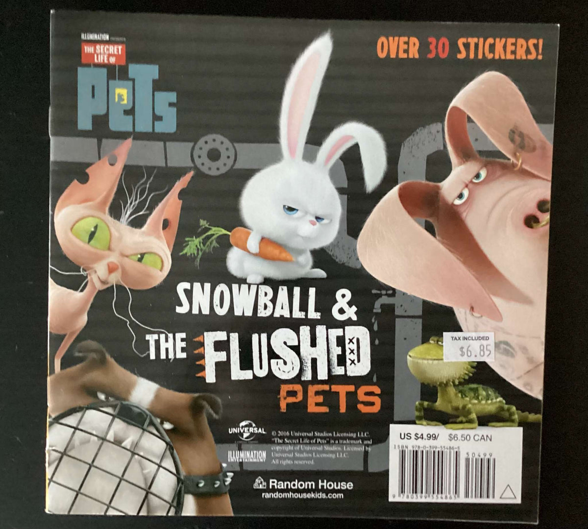 Bundle of 2 Books: Ryan's Mystery Playdate: Who Will it Be? and The Secret Life of Pets
