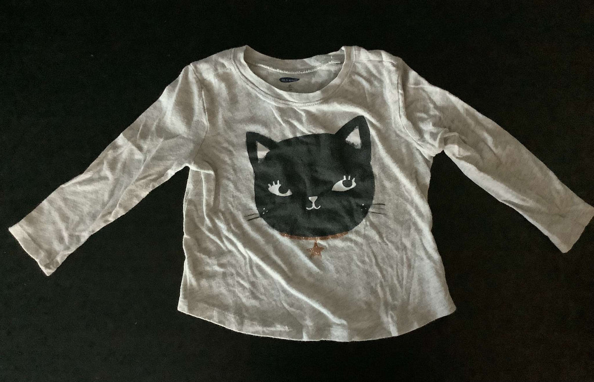 Old Navy Bundle of 2 L/S Tops (2 years), Kids 2T