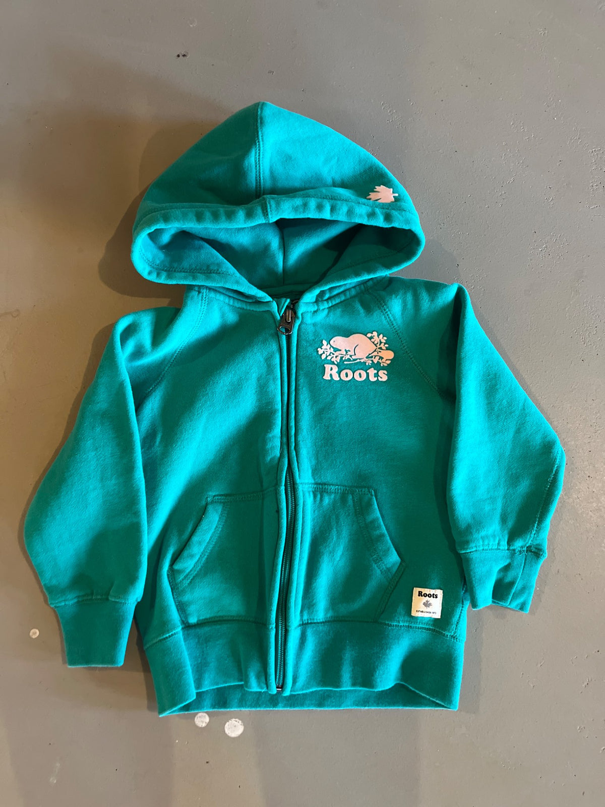 Roots Zip Sweater, Kids 3T