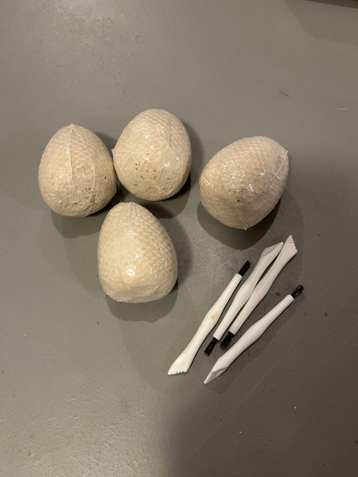 Dinosaur Eggs
