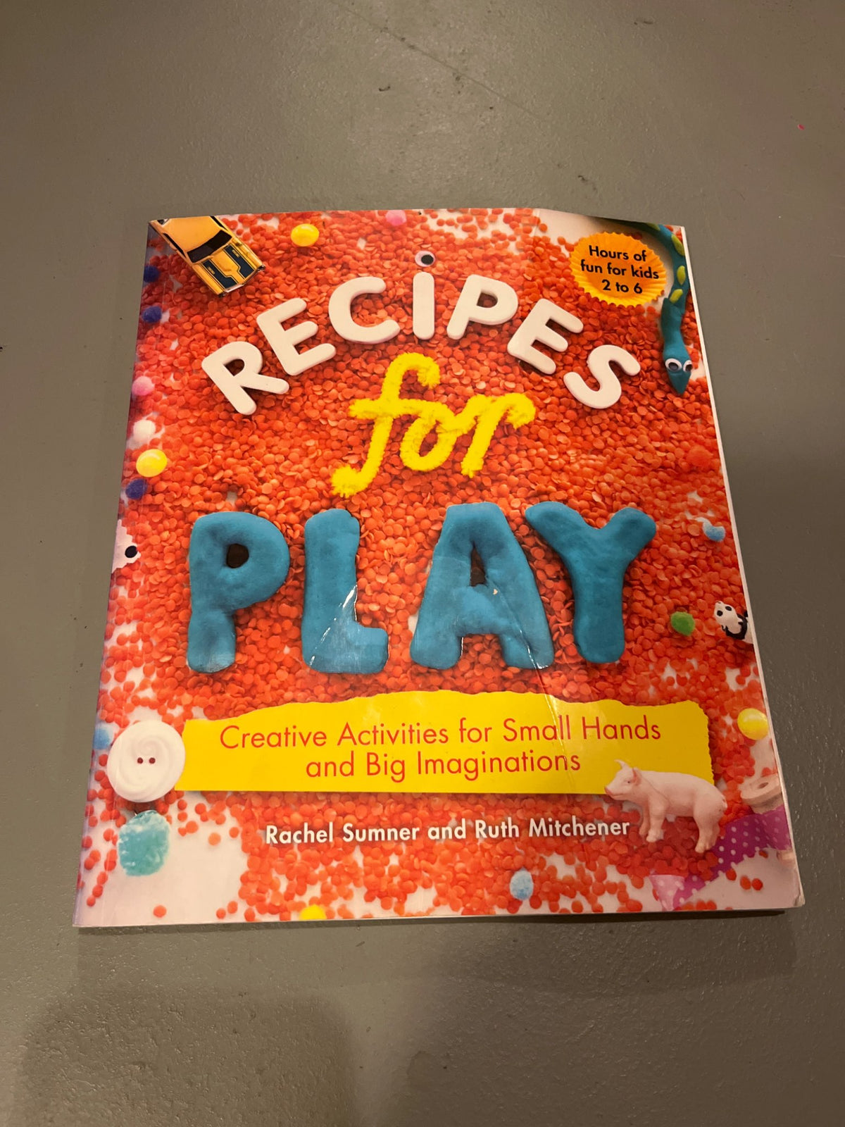 Recipes for Play Book