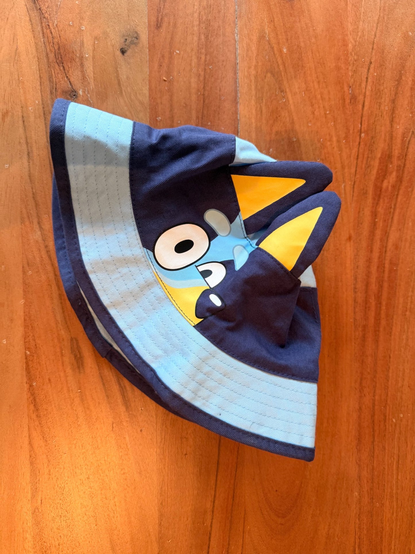 Bluey bucket hat (1)