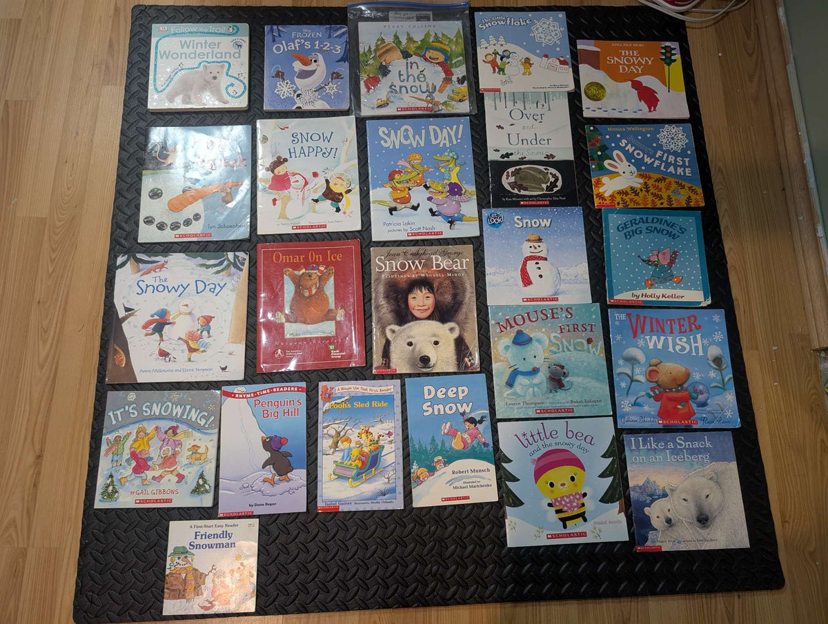 23 winter theme book collection