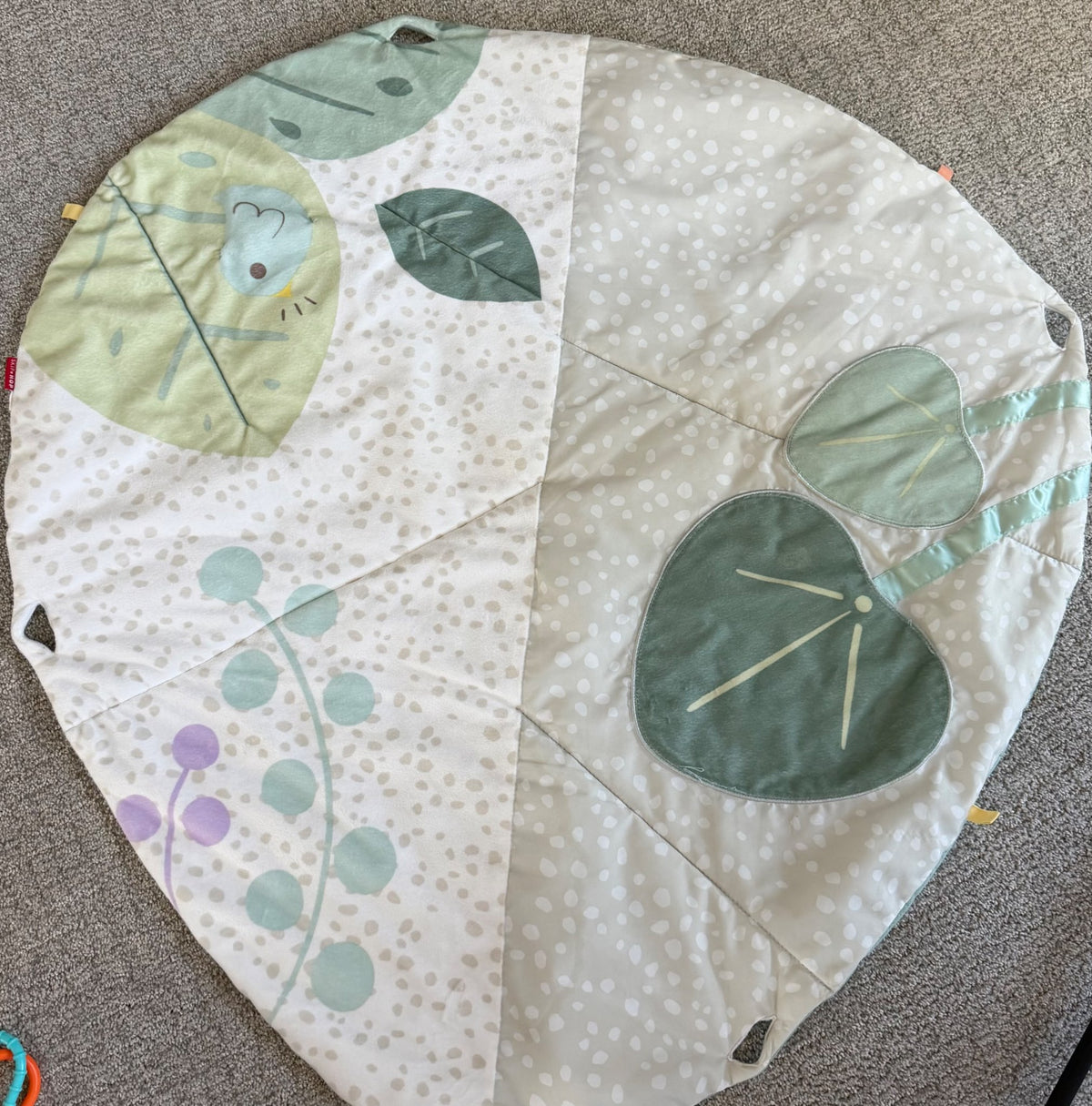 Skip Hop Garden Oasis Play Gym