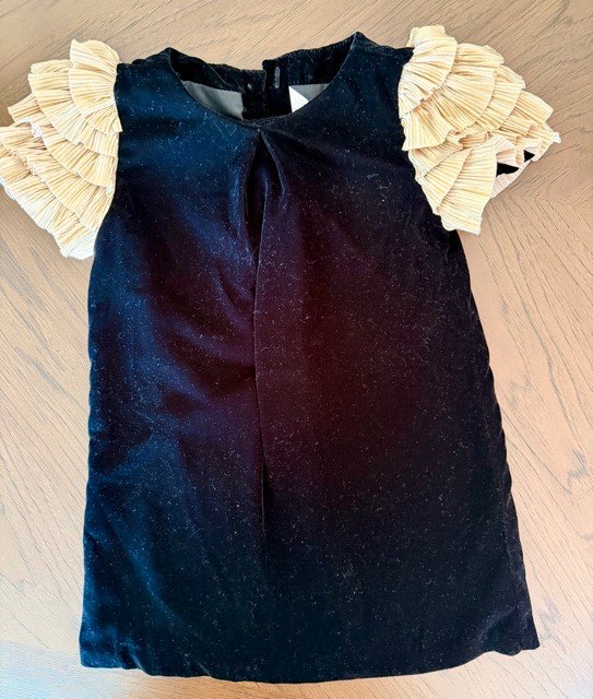 Janie and Jack velvet dress, Kids 3T