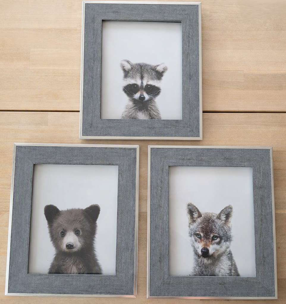 Set of Three Woodland Animal Framed Prints for Nursery