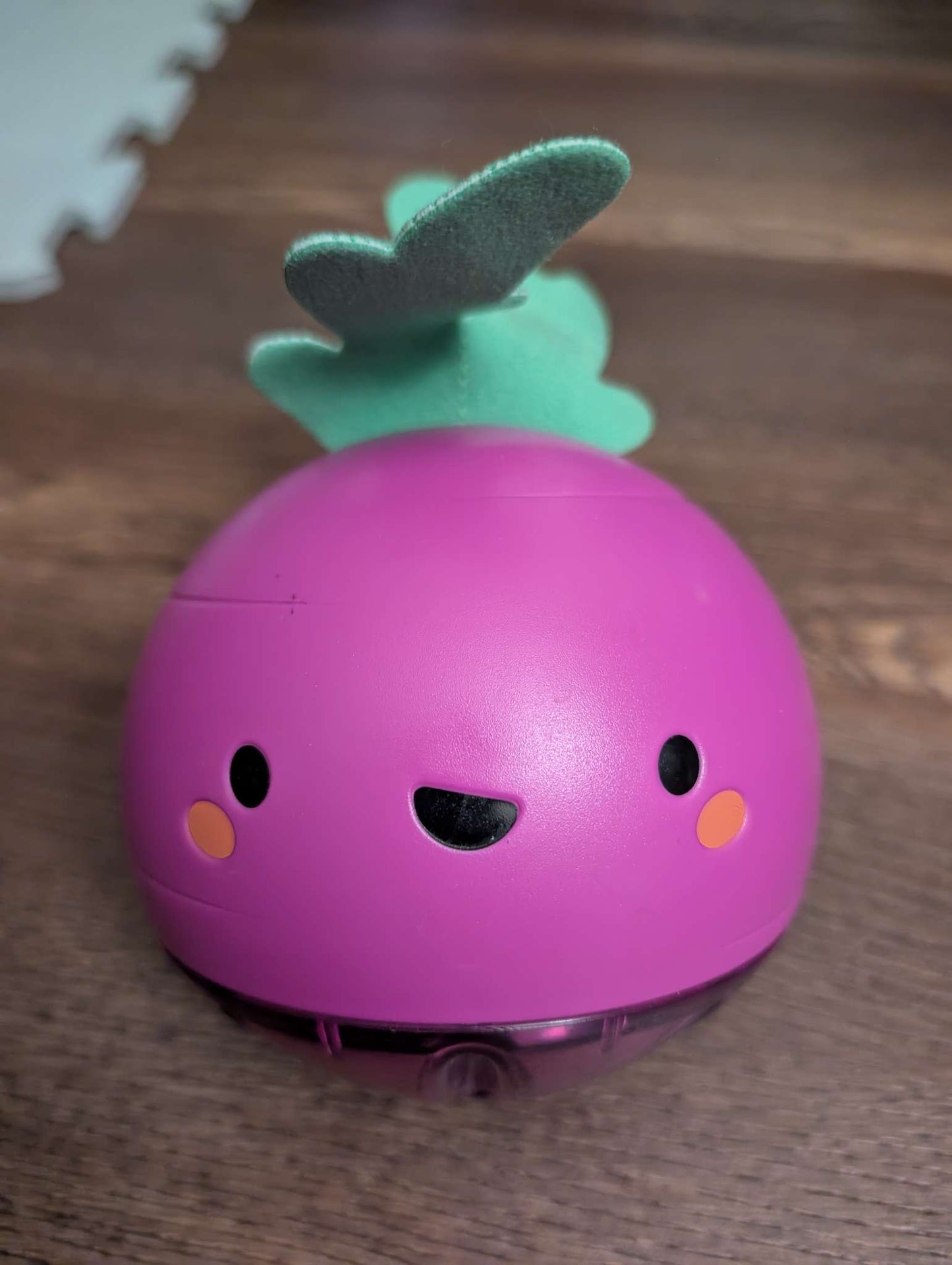 Skip Hop Beetbox Crawl Ball toy