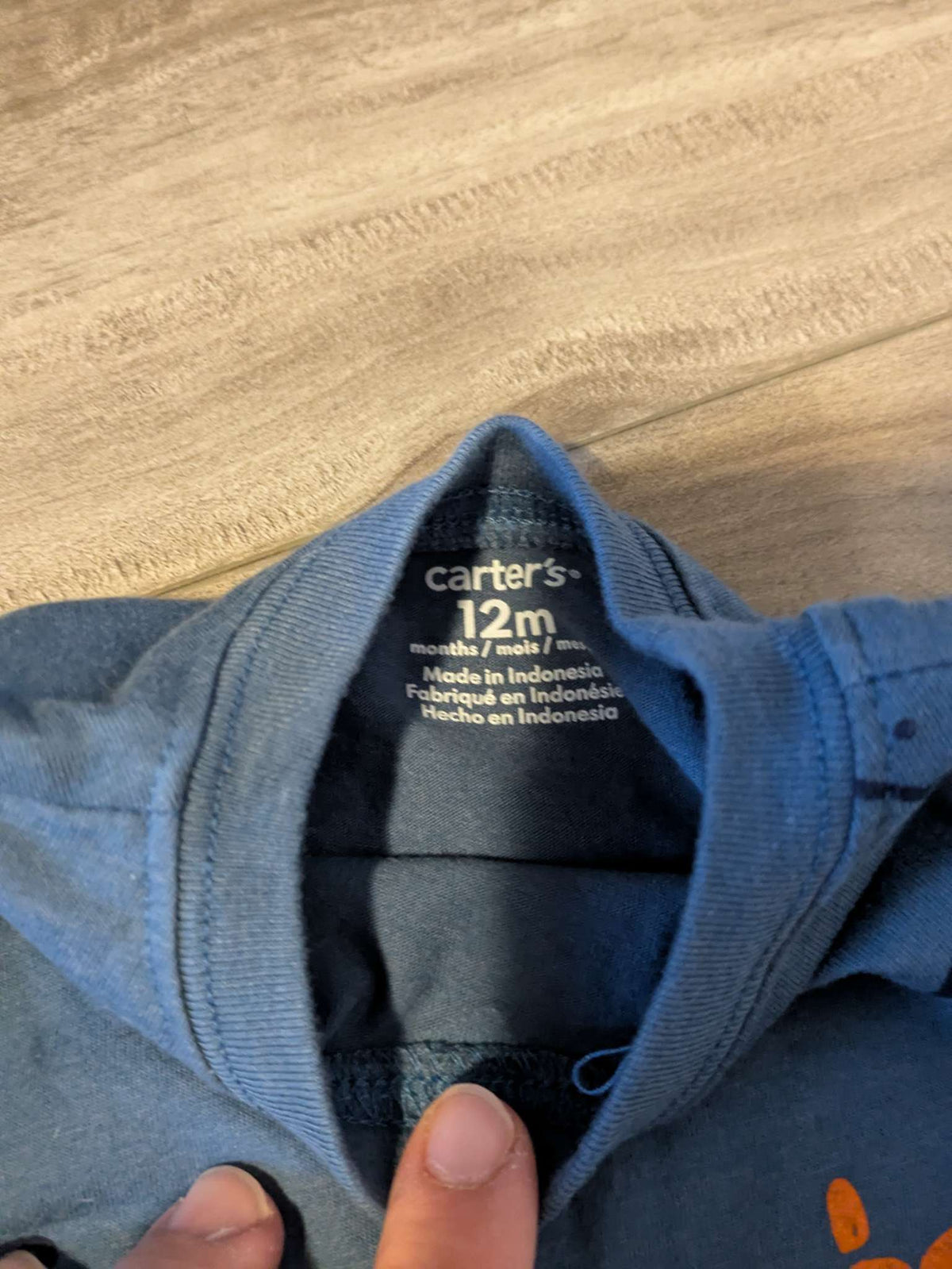 Mountain long sleeve shirt - Carter's - NWOT, Kids 12 Month (9-12M)