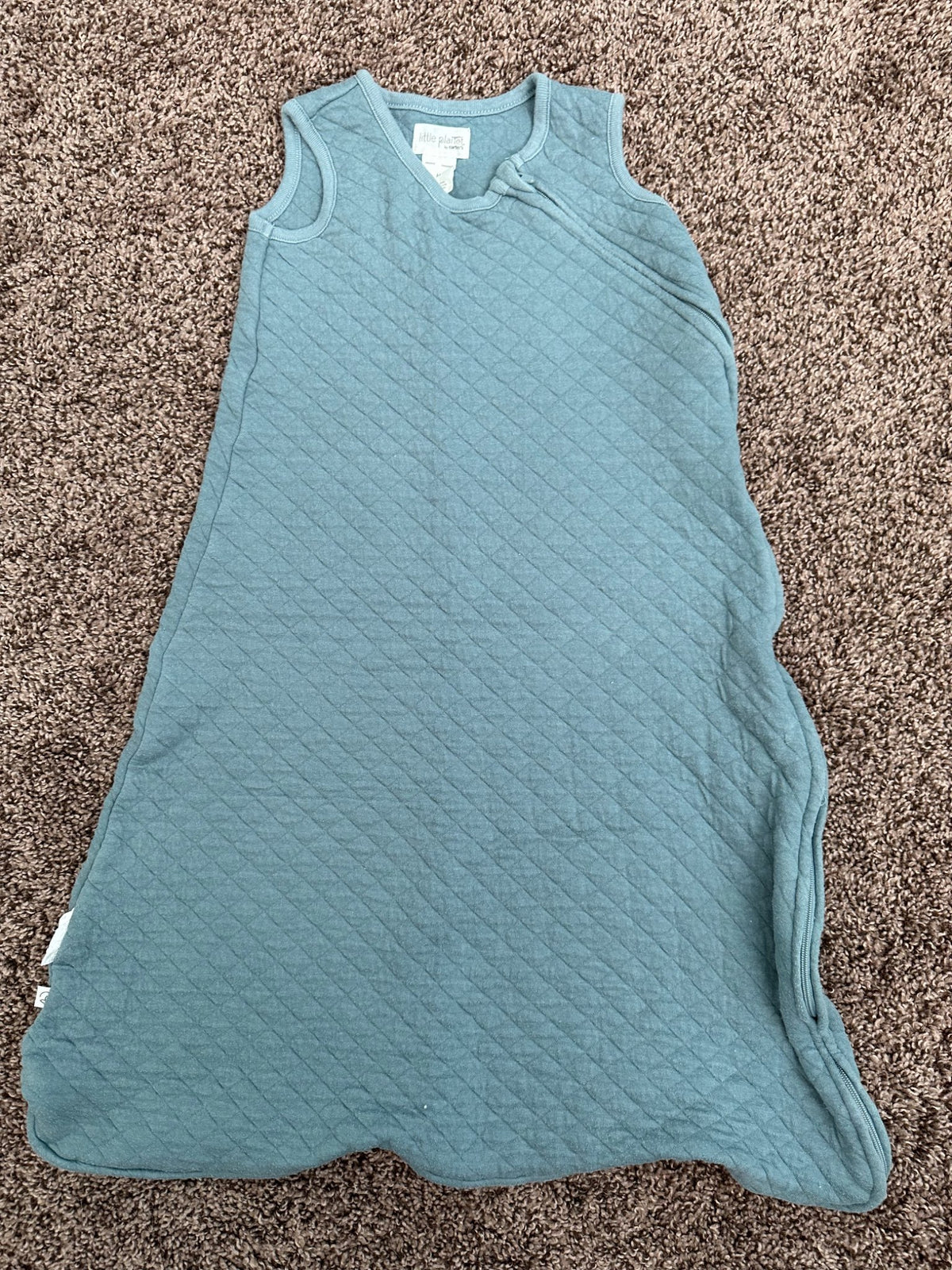 Carter’s Little Planet SleepSack, 6-12 Months (Medium)