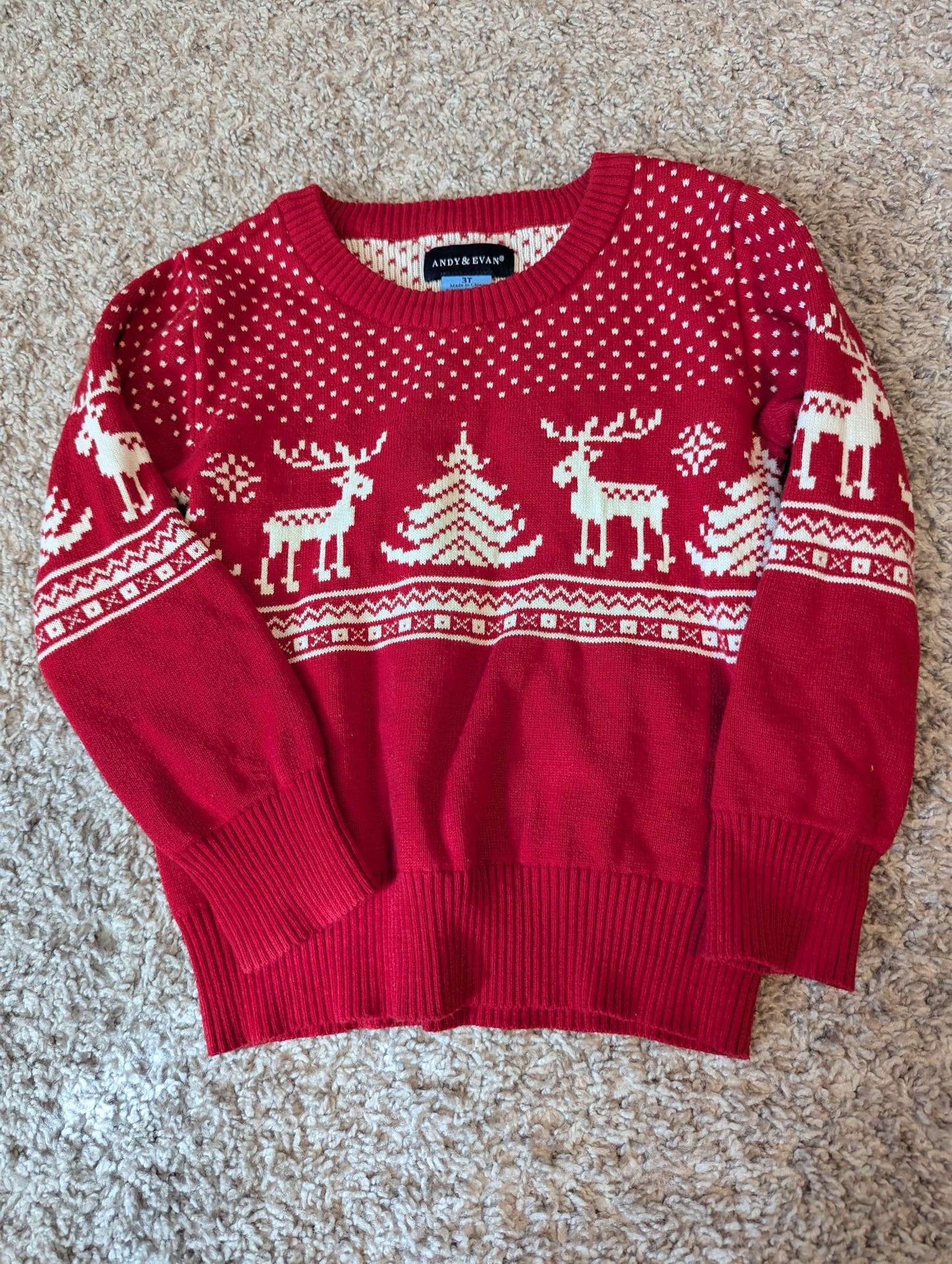 Andy & Evans Christmas 3T sweater , Kids 3T