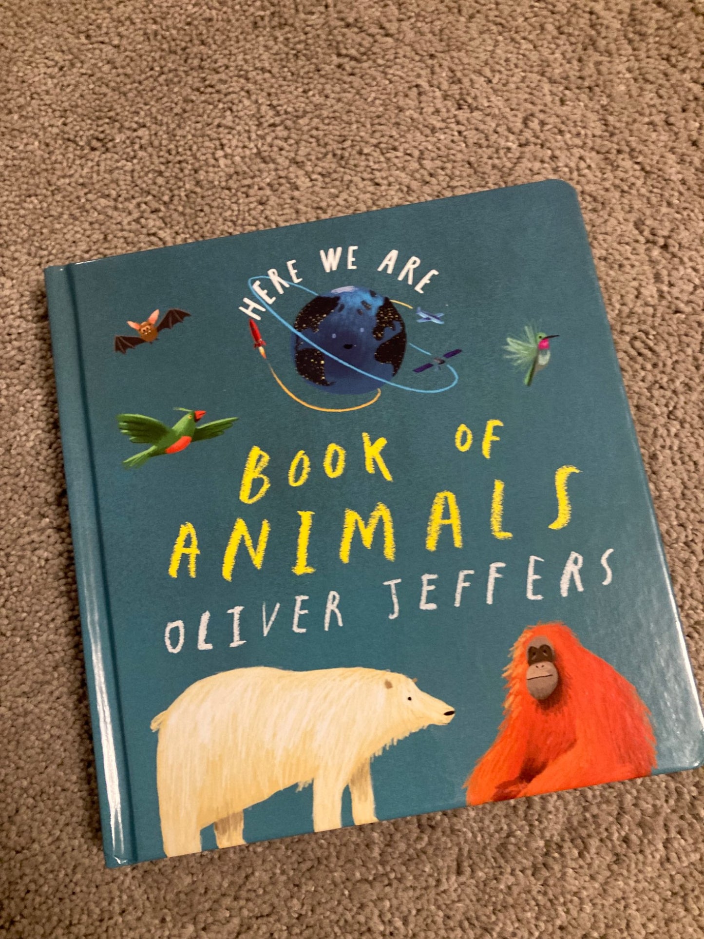 Here We Are - Book of Animals - brand new Board Book