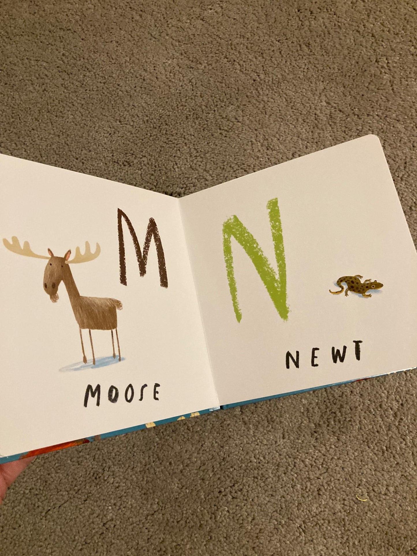 Here We Are - Book of Animals - brand new Board Book