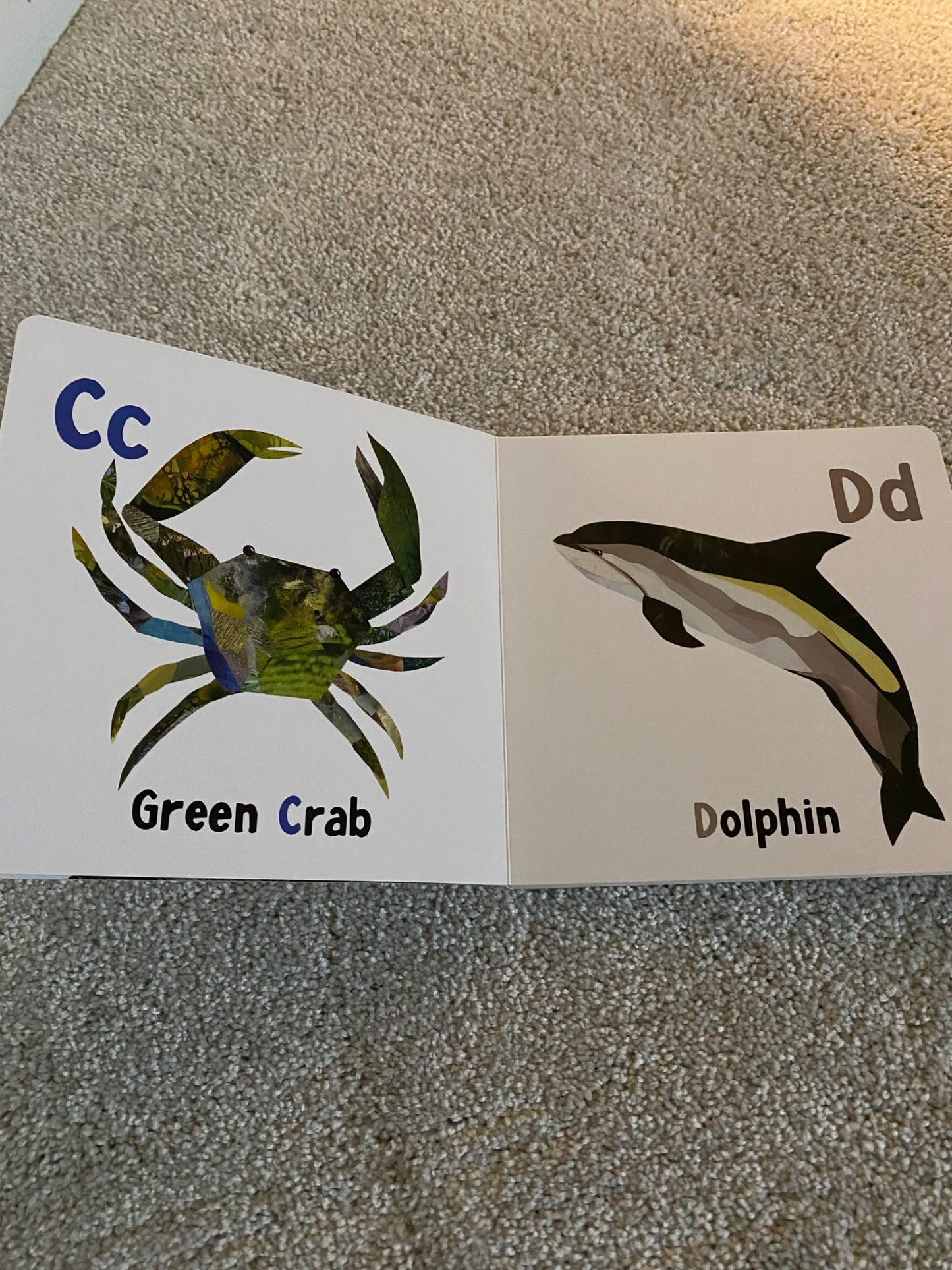 Atlantic Animal ABC