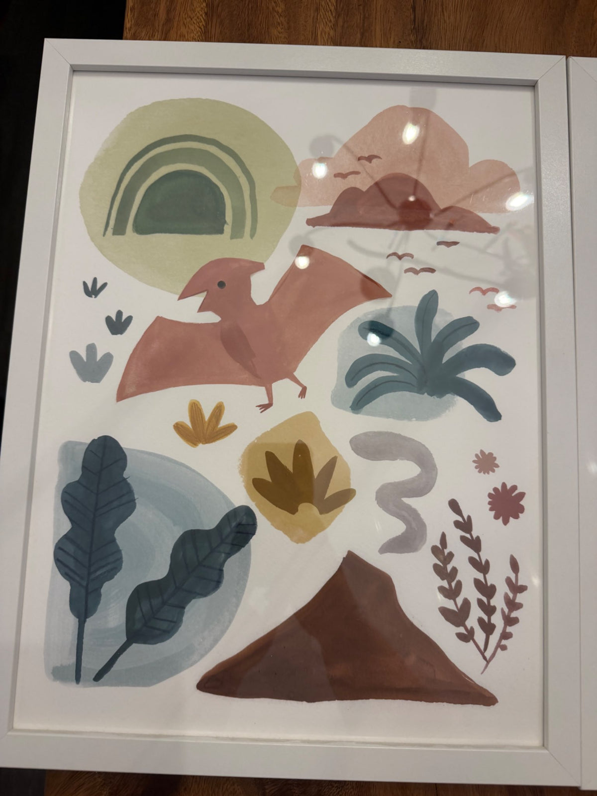 Set of 3 - Dinosaur prints with frames