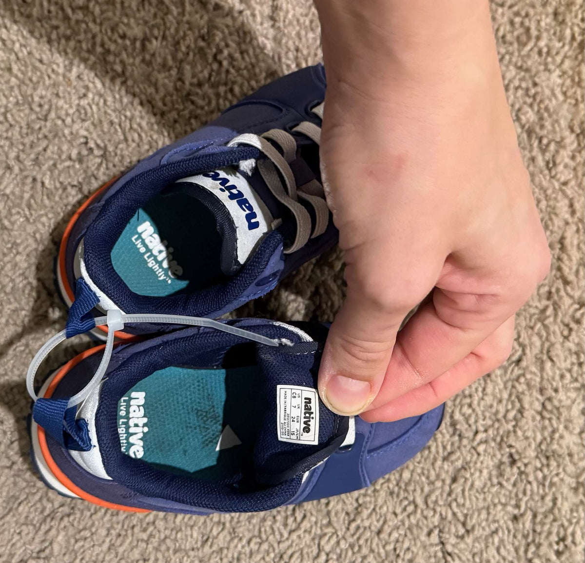 Native Shoes Dartmouth Sneaker, Shoes 8 (Toddler:2-4yr)
