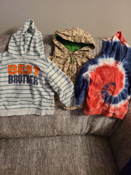 18 month hoodies, Kids 18 Month (12-18M)