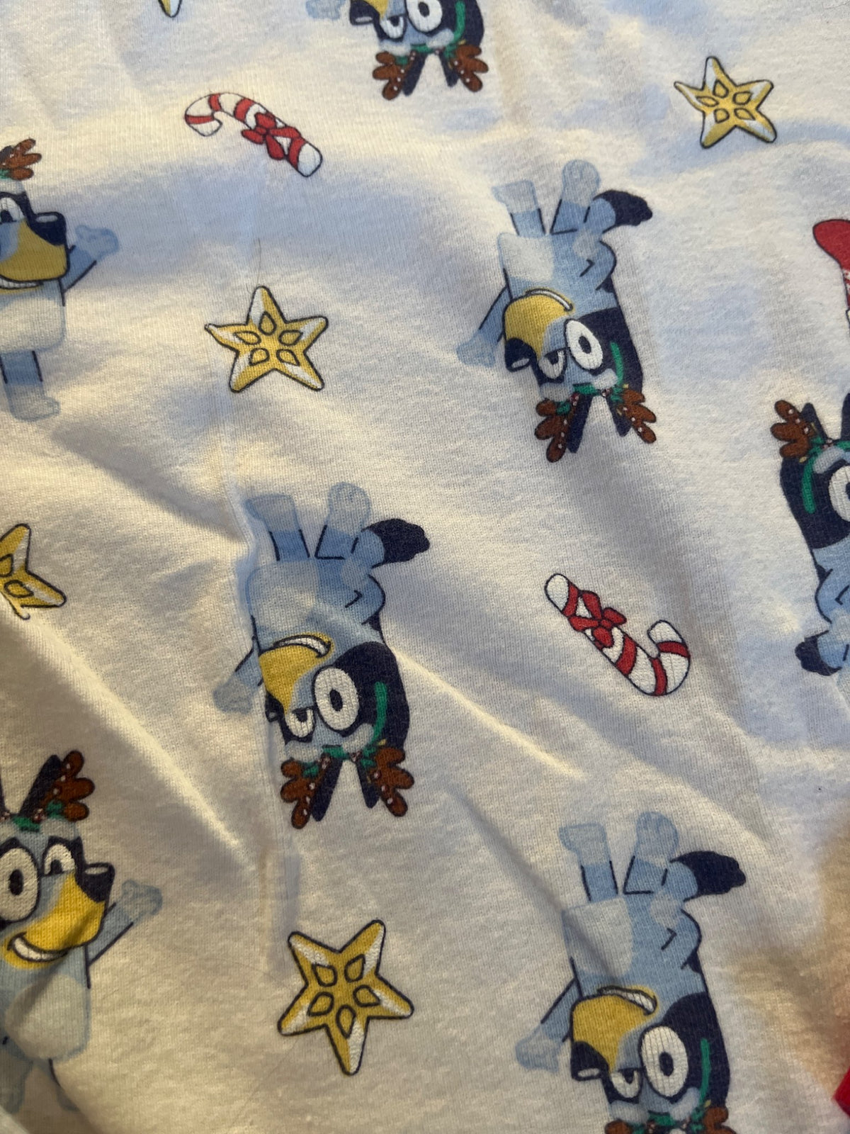 Carters Bluey pajamas , Kids 12