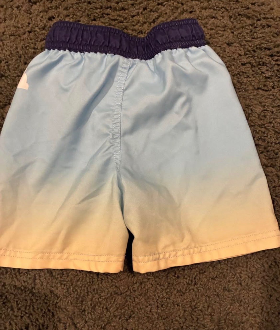 3T Bluey Swim Shorts, Kids 3T