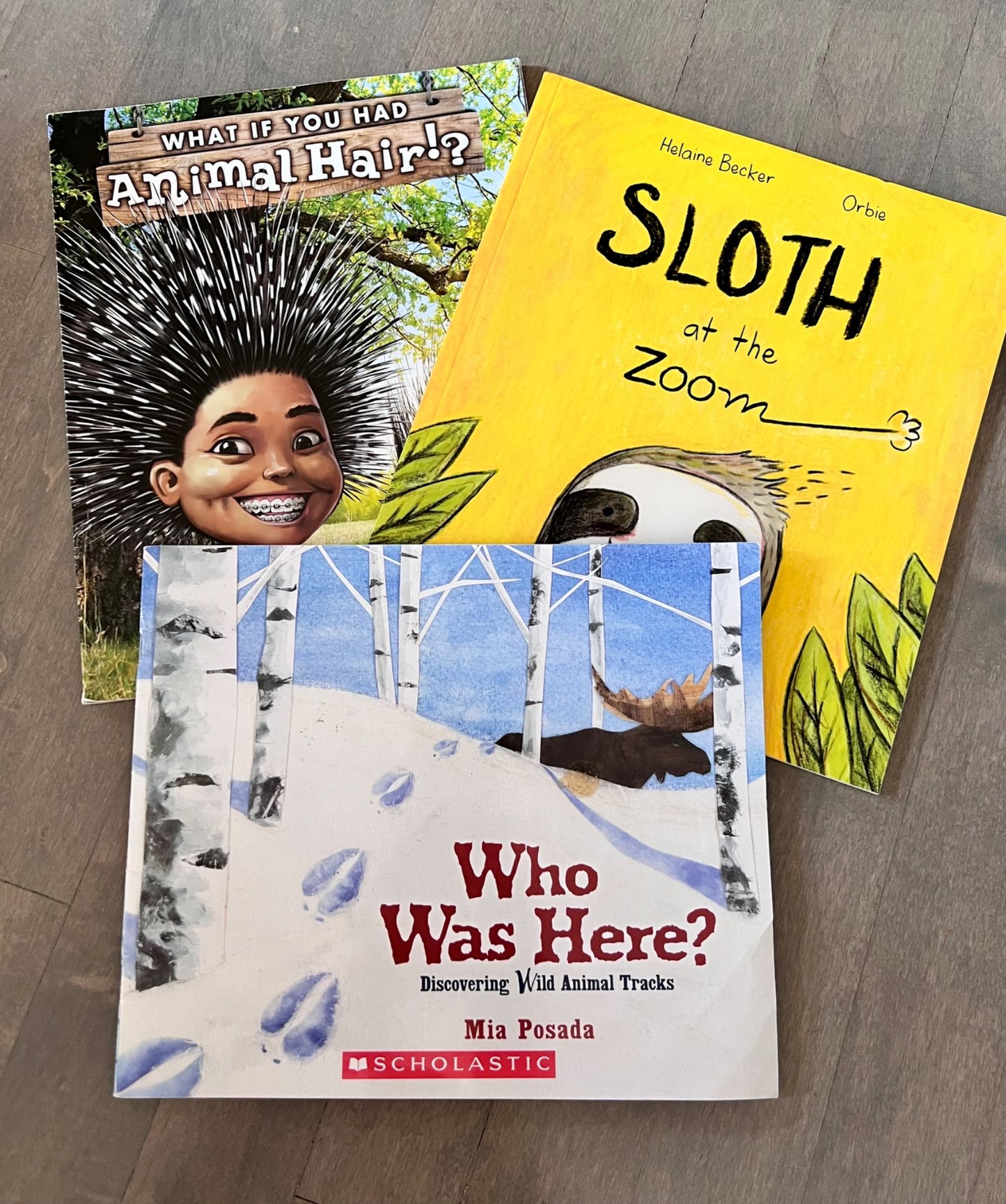 Animal book bundle