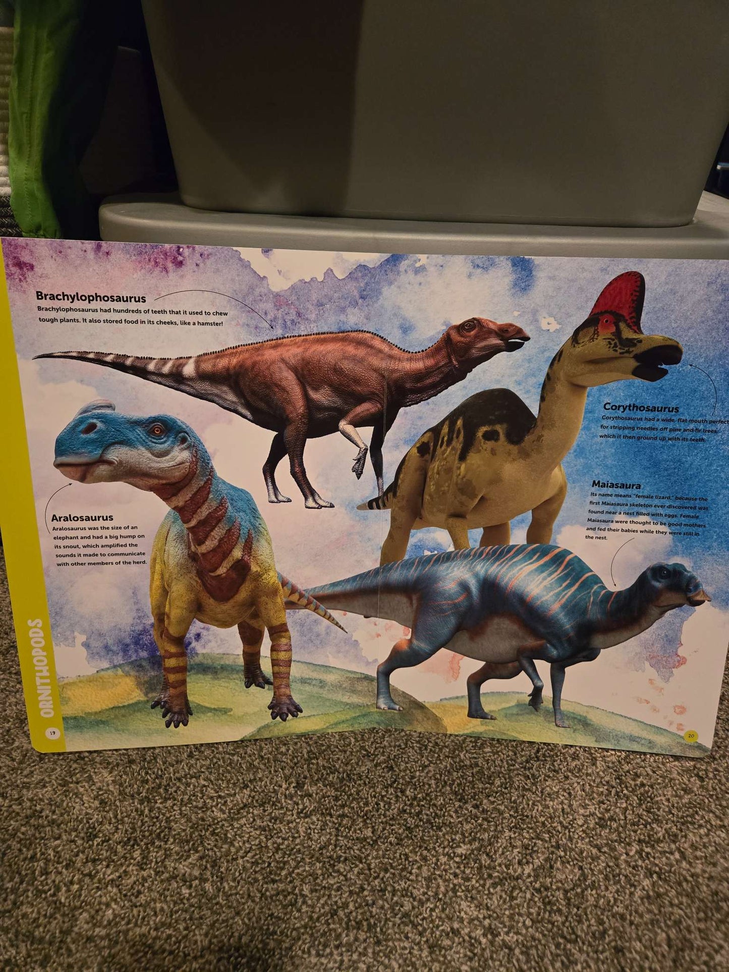 My Giant Dinosaur Book
