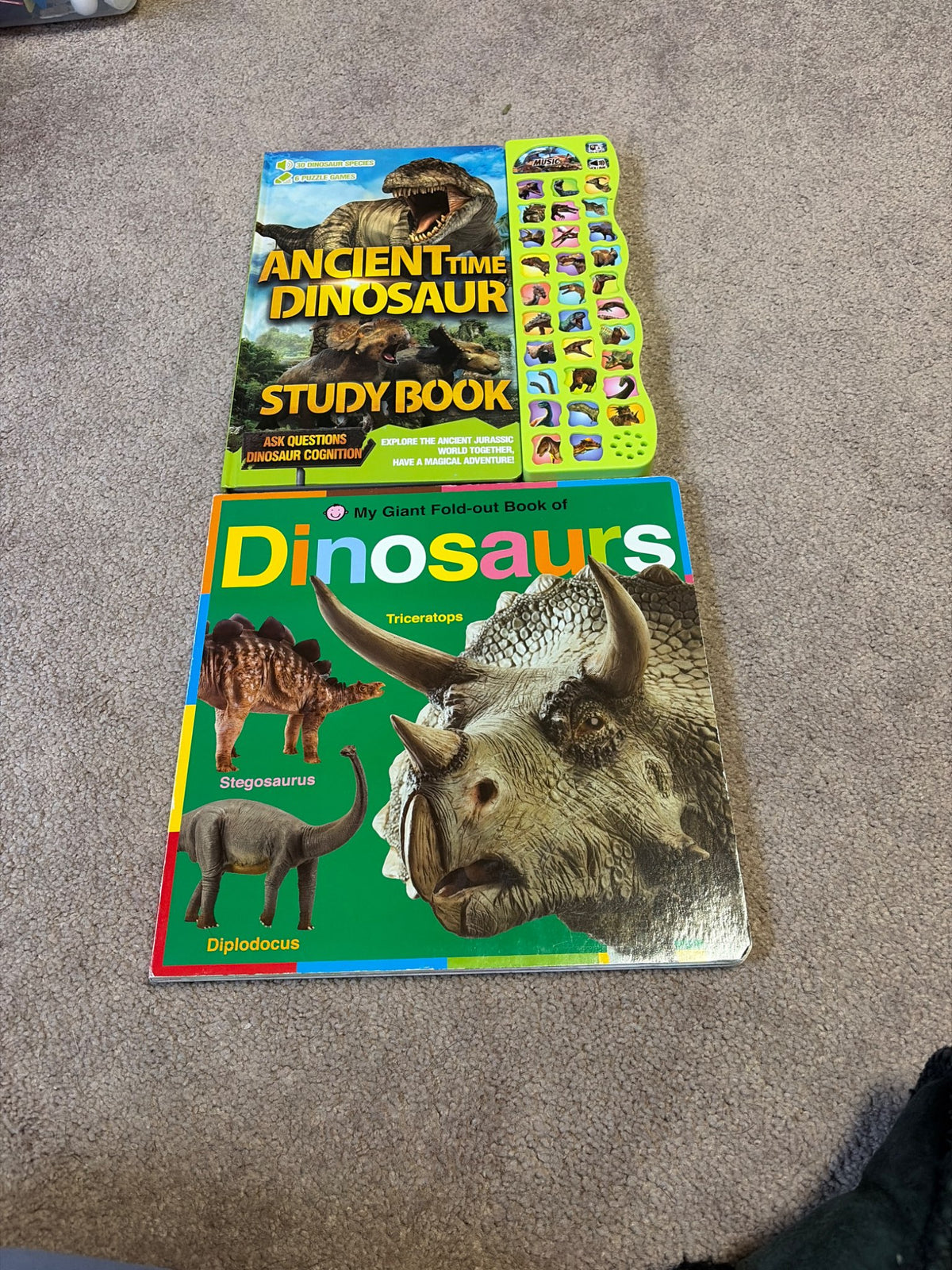 Dinosaur books