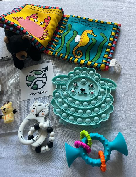 Baby Travel Kit #5, 6-18 months