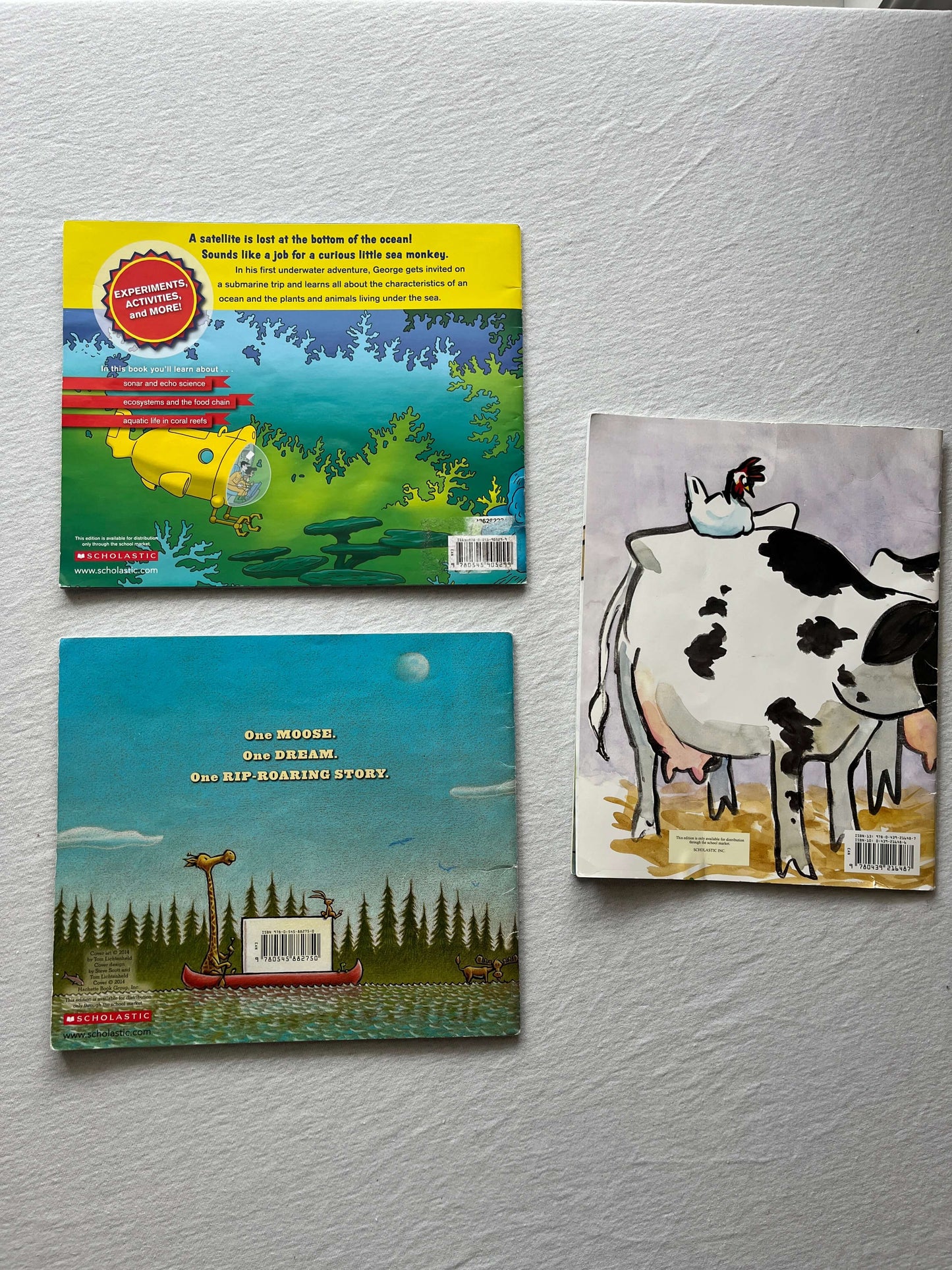3 Paperback Animal Book Bundle