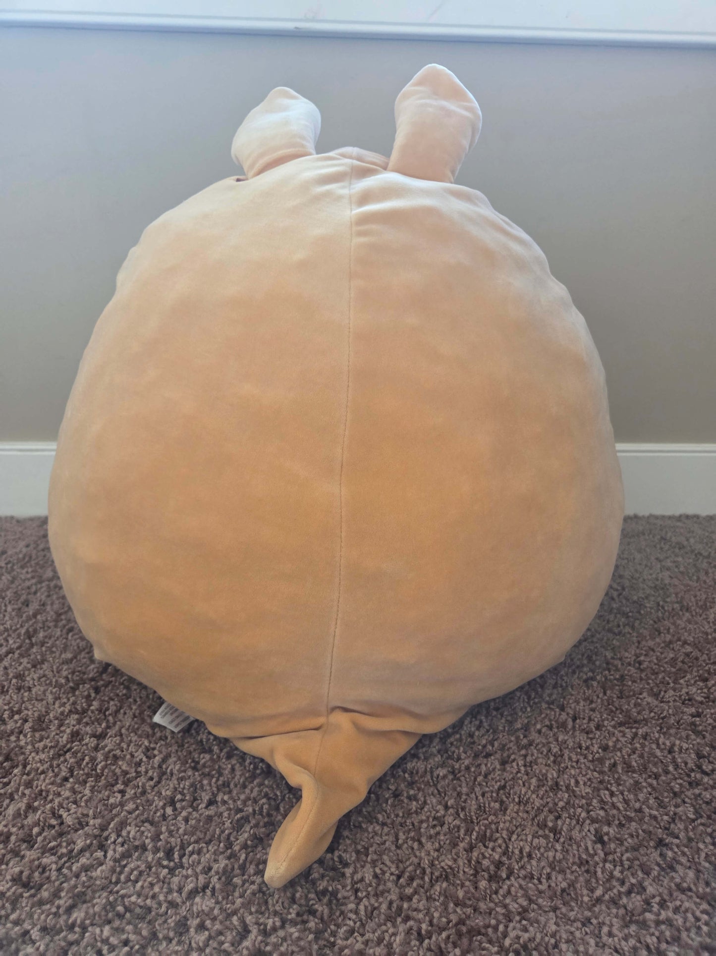 Squishmallow, kangaroo, 16"