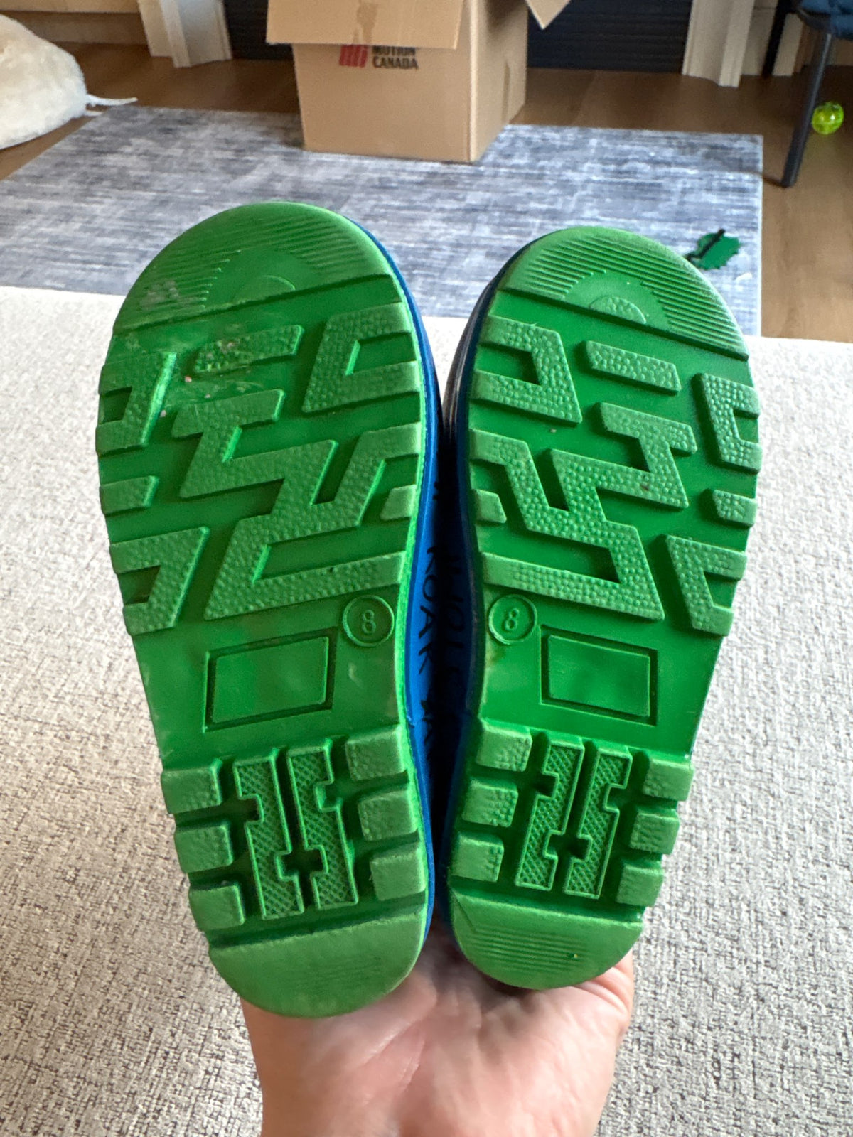Size 8 Dino Rainboots, Shoes 8 (Toddler:2-4yr)