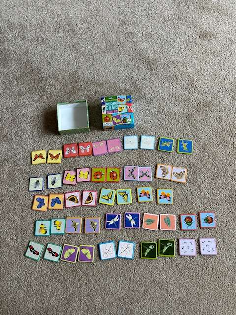 eeBoo Bugs and Butterflies Matching Game Travel Size