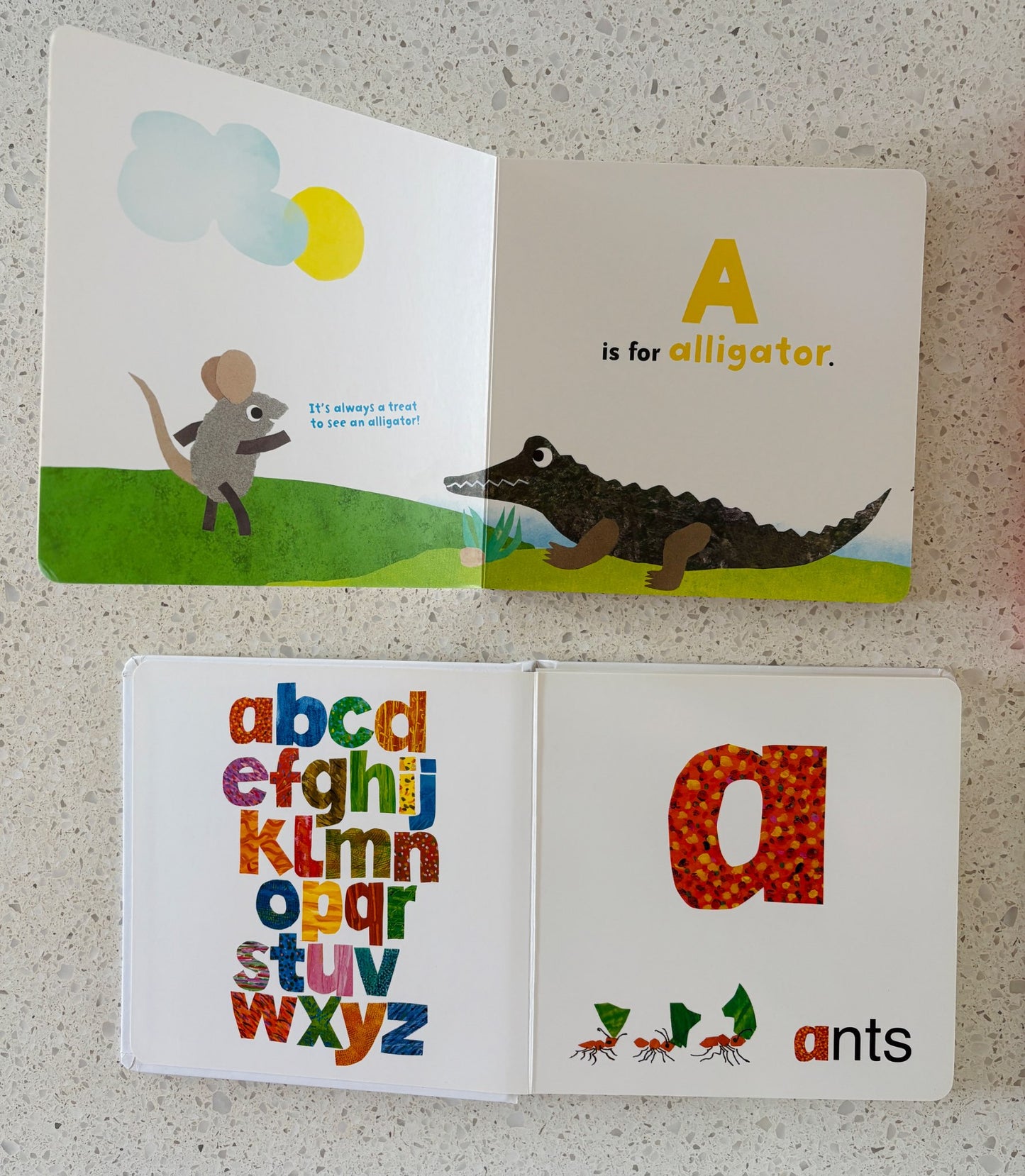 Alphabet Board Books Set of 4