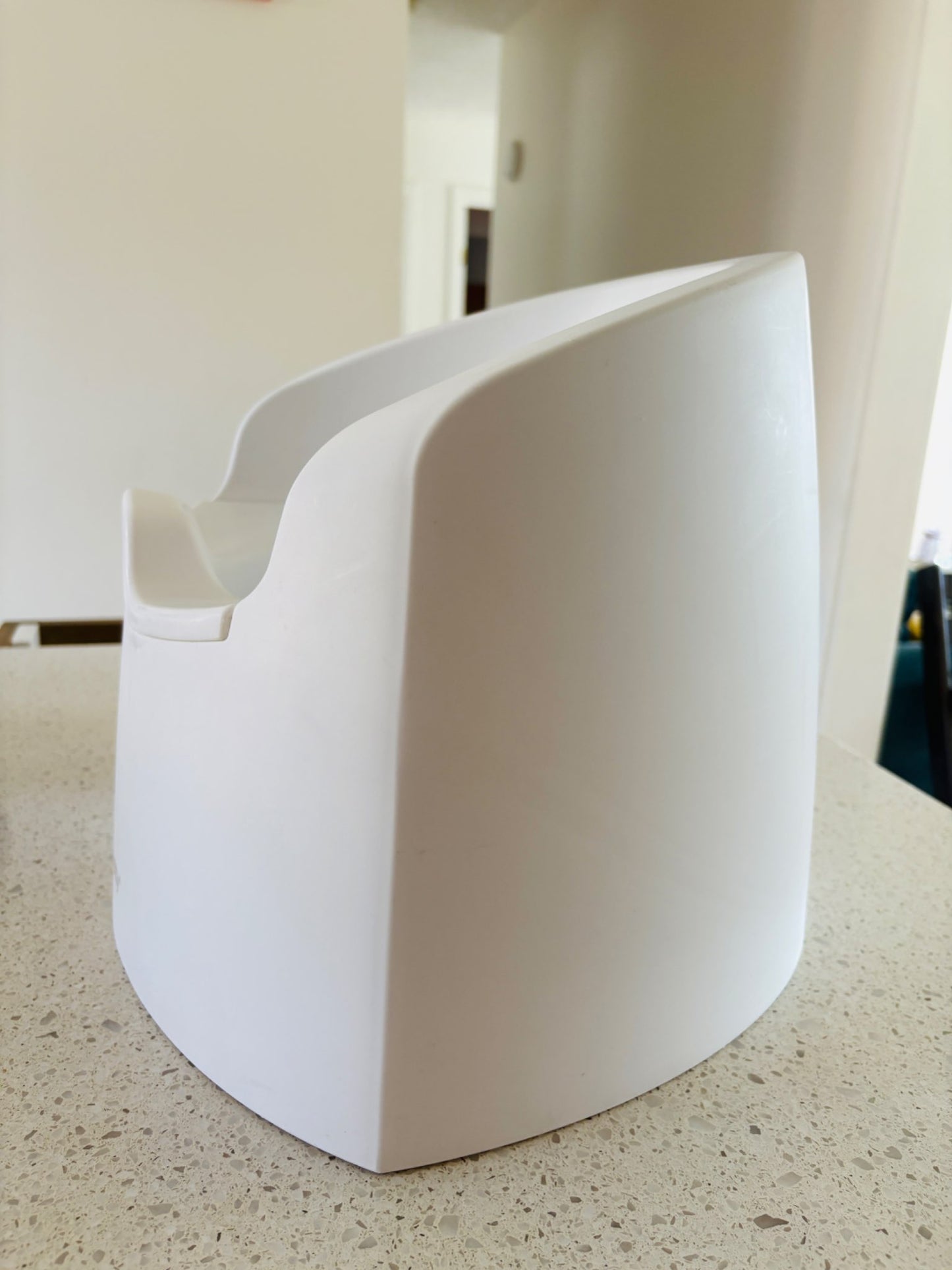 Intelligent Potty with Voice Recording