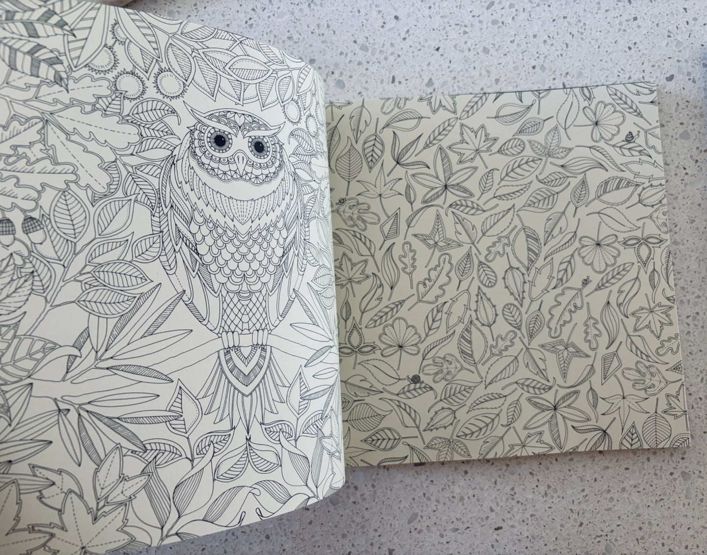 2 Mandala Style Colouring Books