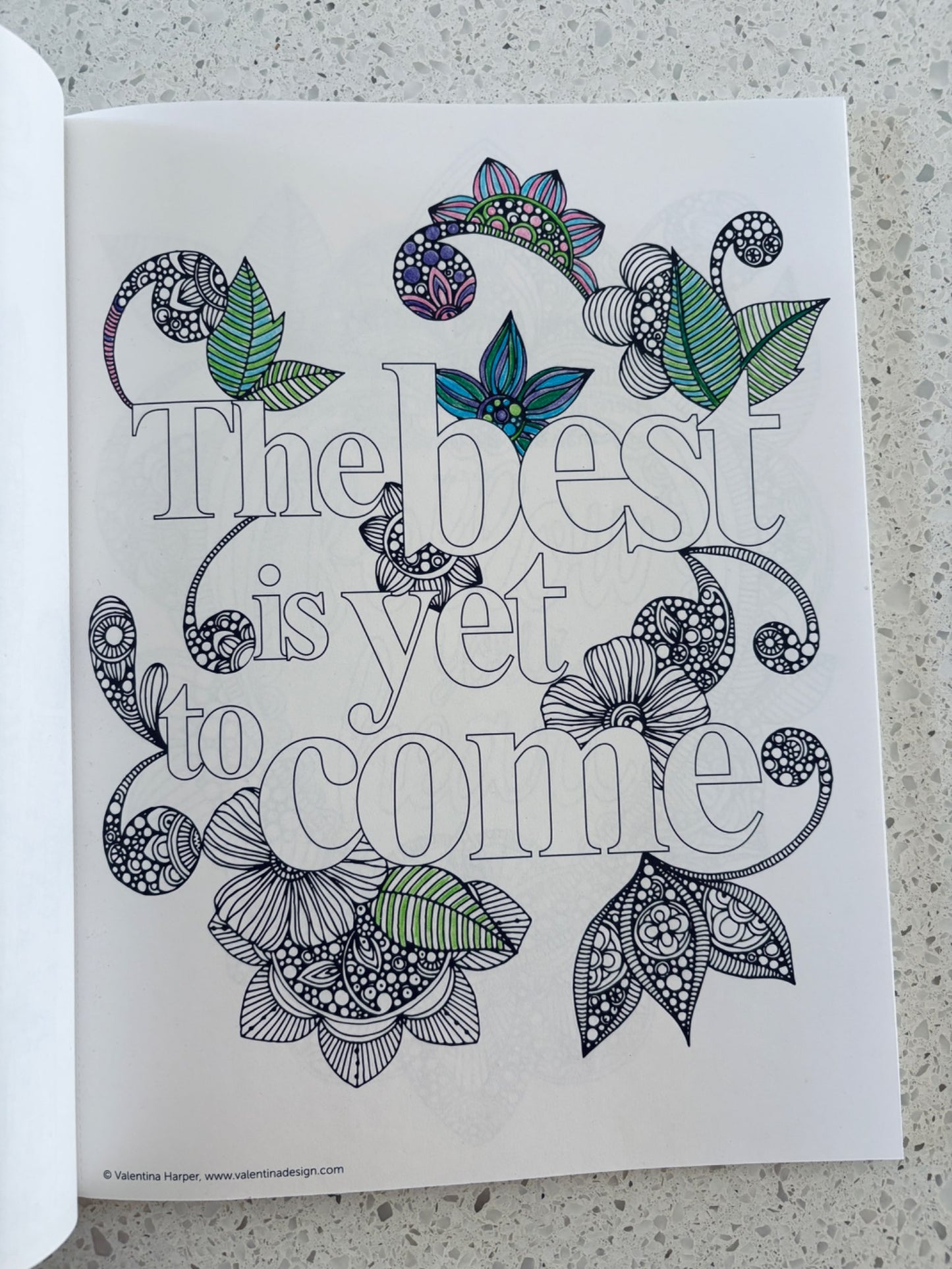 2 Mandala Style Colouring Books