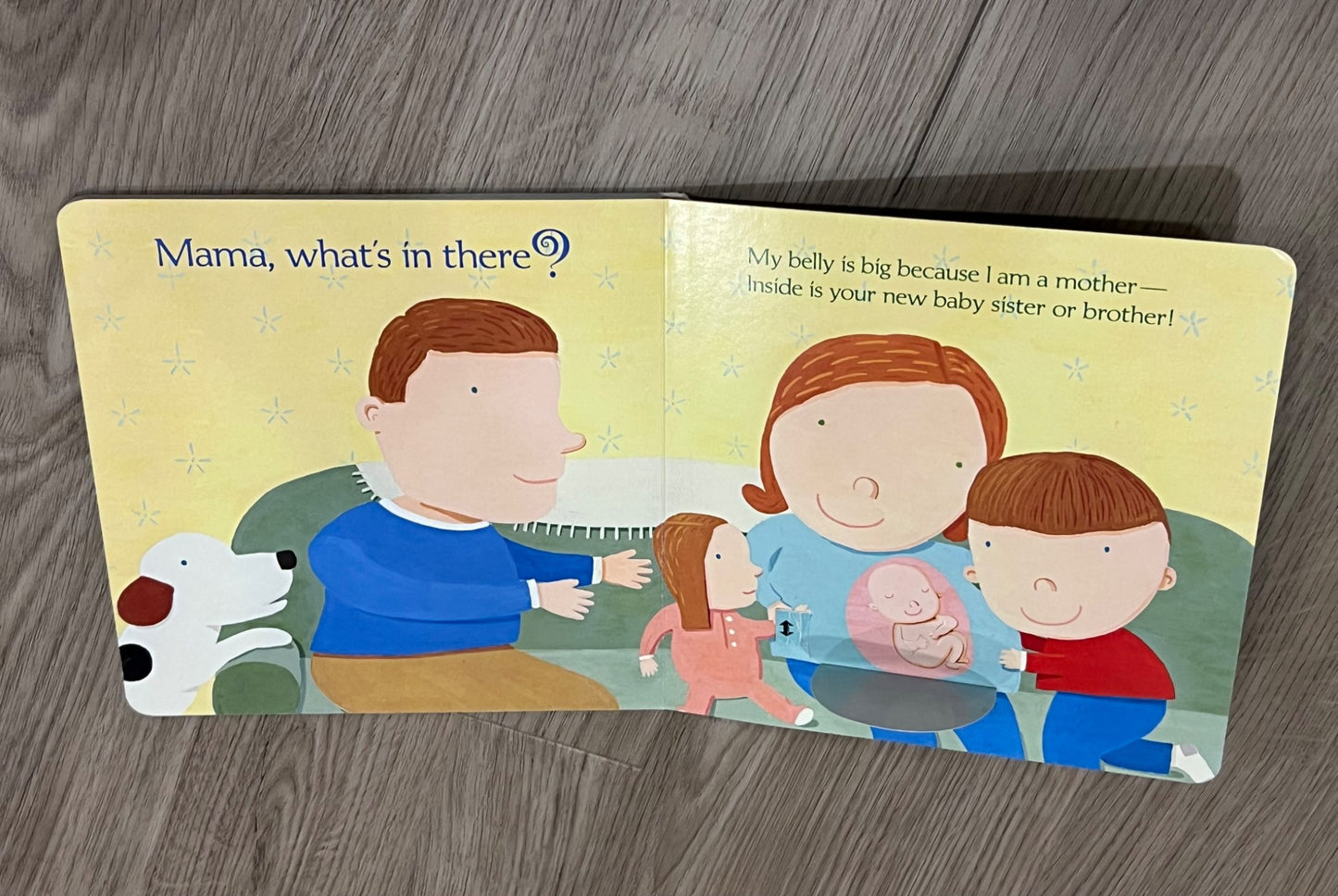 Bundle of 2 New Baby Books for the new big brother or sister, GUC